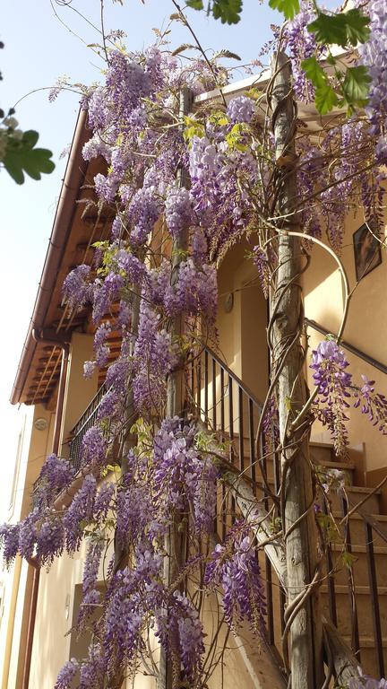 Agriturismo Casal Taccone Apartment Tarquinia Luaran gambar